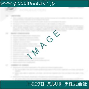 グローバルリサーチ調査資料のイメージ
